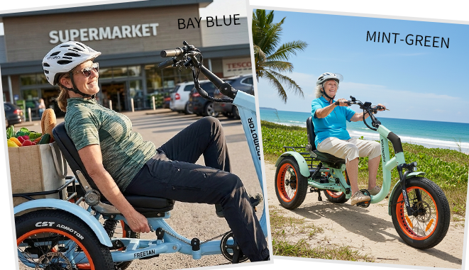AddMotor Freetan M-368X Full-Suspension Semi-Recumbent eTrike