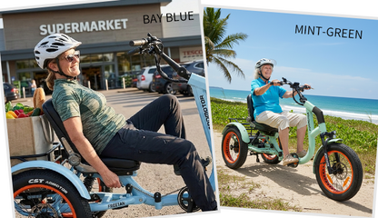 AddMotor Freetan M-368X Full-Suspension Semi-Recumbent eTrike