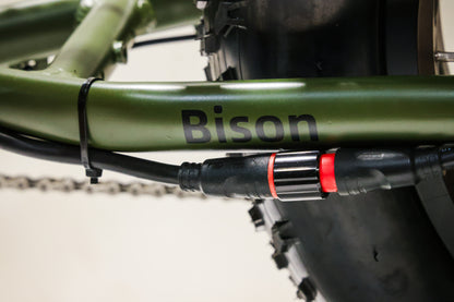 Bronson Bison