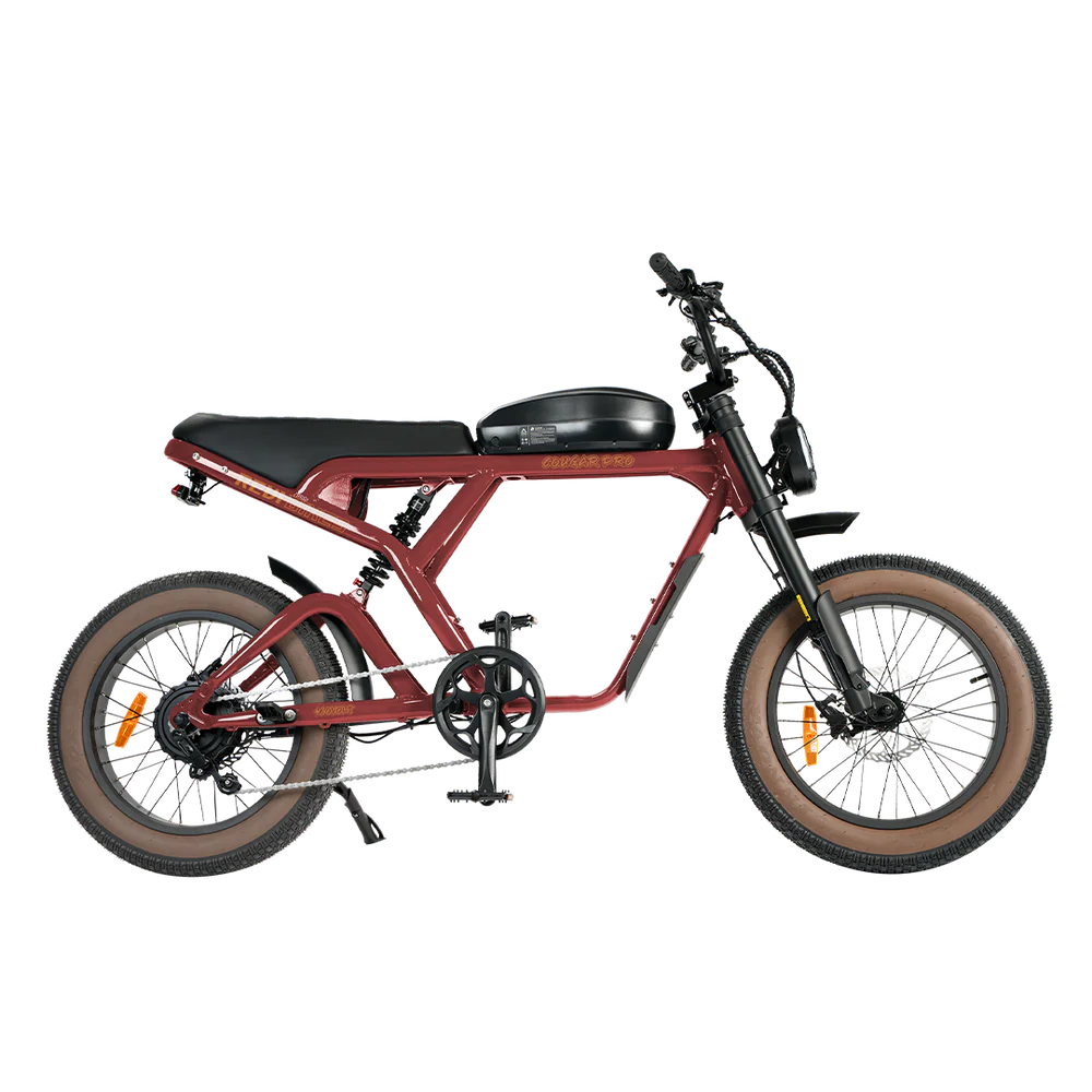 Revibikes Cougar Pro