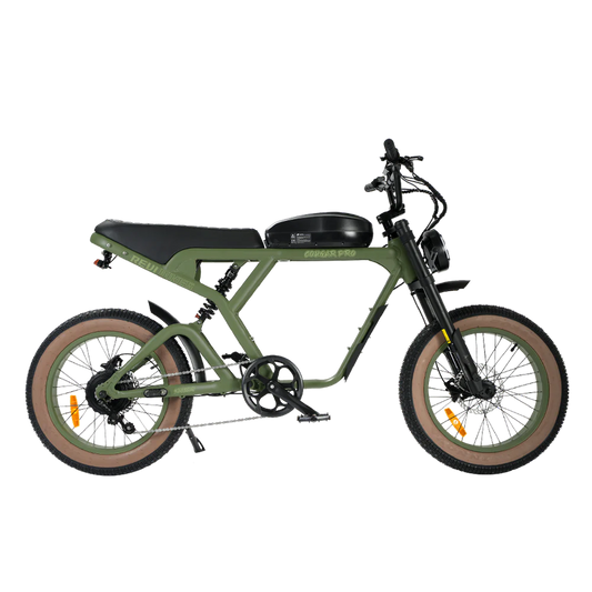 Revibikes Cougar Pro