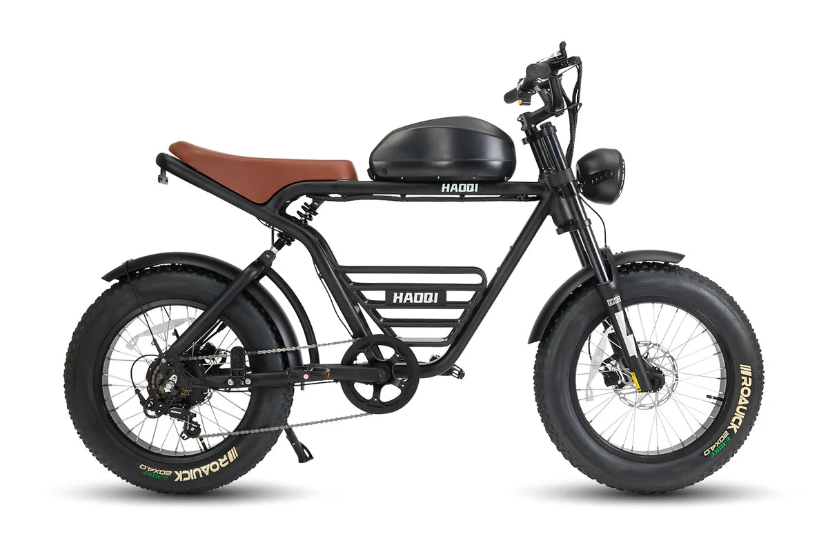HAOQI Rhino2.0 Electric Motorbike (UL Certified)