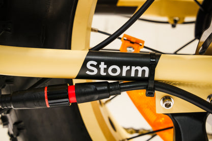 Bronson Storm