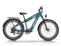 HIMIWAY Dual Battery Off-road Electric Bike Rhino(D5 Plus)