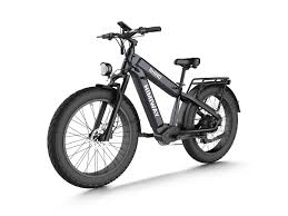 HIMIWAY Dual Battery Off-road Electric Bike Rhino( D5 Ultra)